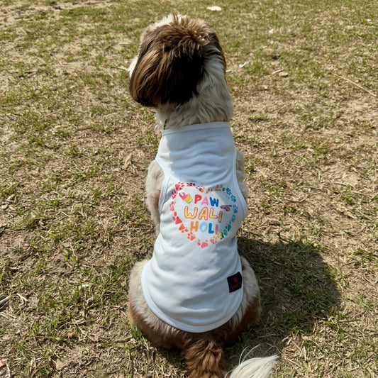 Pawgy Pets “Paw Wali Holi” T-shirt for Dogs and Cats